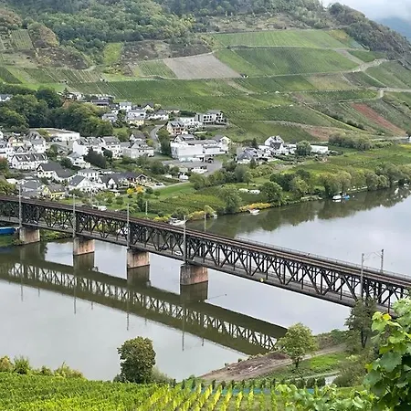 Boutique Guesthouse Das WOHLGEMUTH HEIM Mosel Weingut-3
